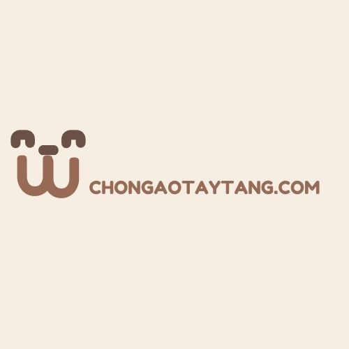 chongaotaytang.com